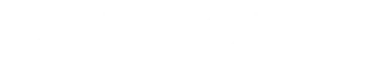 Logo perform' white